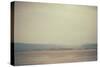 A Row of Wooden Posts on a Beach-Clive Nolan-Stretched Canvas