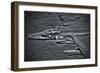 A Royal Air Force Harrier Gr9 Flying Low over North Wales-null-Framed Photographic Print