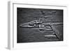 A Royal Air Force Harrier Gr9 Flying Low over North Wales-null-Framed Photographic Print