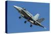 A Royal Canadian Air Force Cf-188 Hornet-null-Stretched Canvas