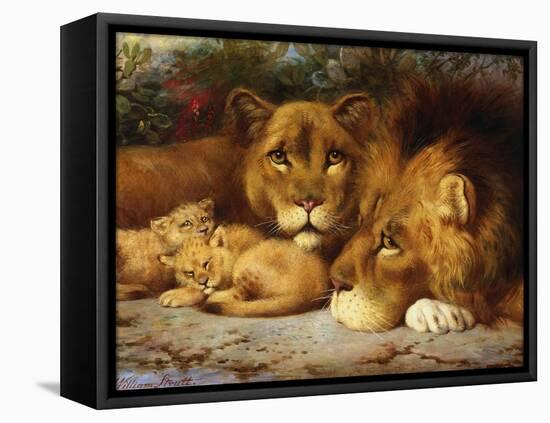 A Royal Family of Lions-William Strutt-Framed Stretched Canvas