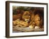 A Royal Family of Lions-William Strutt-Framed Giclee Print