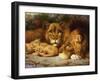 A Royal Family of Lions-William Strutt-Framed Giclee Print