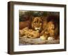 A Royal Family of Lions-William Strutt-Framed Giclee Print