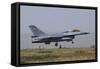 A Royal Jordanian Air Force F-16B Landing at Konya Air Base-Stocktrek Images-Framed Stretched Canvas