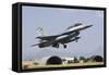 A Royal Jordanian Air Force F-16Bm During Exercise Anatolian Eagle-Stocktrek Images-Framed Stretched Canvas