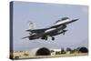 A Royal Jordanian Air Force F-16Bm During Exercise Anatolian Eagle-Stocktrek Images-Stretched Canvas