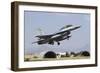 A Royal Jordanian Air Force F-16Bm During Exercise Anatolian Eagle-Stocktrek Images-Framed Photographic Print