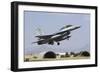 A Royal Jordanian Air Force F-16Bm During Exercise Anatolian Eagle-Stocktrek Images-Framed Photographic Print