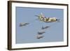 A Royal Moroccan Air Force Kc-130 Refueling a Pair of F-5 Aircraft-Stocktrek Images-Framed Photographic Print