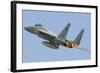 A Royal Saudi Air Force F-15C During Exercise Green Shield 2014 in France-Stocktrek Images-Framed Photographic Print