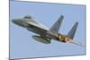 A Royal Saudi Air Force F-15C During Exercise Green Shield 2014 in France-Stocktrek Images-Mounted Photographic Print
