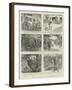 A Royal Tiger Hunt, Or, the Perfect Arrangement-William Ralston-Framed Giclee Print