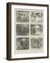 A Royal Tiger Hunt, Or, the Perfect Arrangement-William Ralston-Framed Giclee Print