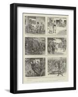 A Royal Tiger Hunt, Or, the Perfect Arrangement-William Ralston-Framed Giclee Print