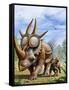 A Rubeosaurus and His Offspring-Stocktrek Images-Framed Stretched Canvas