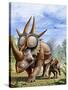 A Rubeosaurus and His Offspring-Stocktrek Images-Stretched Canvas