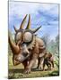 A Rubeosaurus and His Offspring-Stocktrek Images-Mounted Art Print