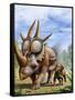 A Rubeosaurus and His Offspring-Stocktrek Images-Framed Stretched Canvas