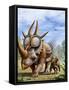 A Rubeosaurus and His Offspring-Stocktrek Images-Framed Stretched Canvas