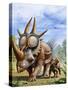 A Rubeosaurus and His Offspring-Stocktrek Images-Stretched Canvas