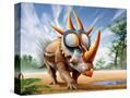 Stretched Canvas