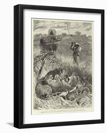 A Rude Awakening, an Incident of South African Travel-null-Framed Giclee Print