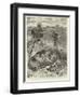 A Rude Awakening, an Incident of South African Travel-null-Framed Giclee Print