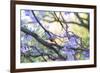 A Rufous Bellied Thrush, Turdus Rufiventris, on a Jacaranda Tree Branch in Ibirapuera Park-Alex Saberi-Framed Photographic Print