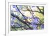 A Rufous Bellied Thrush, Turdus Rufiventris, on a Jacaranda Tree Branch in Ibirapuera Park-Alex Saberi-Framed Photographic Print