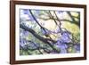 A Rufous Bellied Thrush, Turdus Rufiventris, on a Jacaranda Tree Branch in Ibirapuera Park-Alex Saberi-Framed Photographic Print