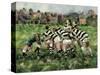 A Rugby Match, 1989-Gareth Lloyd Ball-Stretched Canvas