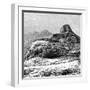 A Ruined Tope (Stup) in the Khyber Pass, Pakistan/Afhanistan, 1895-null-Framed Giclee Print