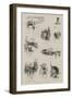 A Run Through the Isle-Of-Man-Herbert Railton-Framed Giclee Print