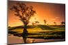 A Rural Adelaide Hills Landscape-kwest19-Mounted Photographic Print