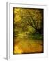 A Rural Scene with a Riverbank-Cristina Carra Caso-Framed Photographic Print