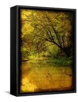 A Rural Scene with a Riverbank-Cristina Carra Caso-Framed Stretched Canvas