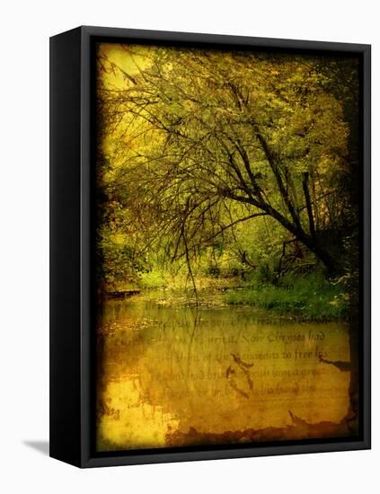 A Rural Scene with a Riverbank-Cristina Carra Caso-Framed Stretched Canvas