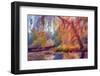 A Rush Of Colors 1-Janet Slater-Framed Photographic Print