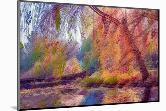 A Rush Of Colors 1-Janet Slater-Mounted Photographic Print