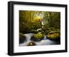 A Rushing Mccord Creek with Yellow Fall Color from Bigleaf Maple, Columbia Gorge, Oregon, USA-Gary Luhm-Framed Photographic Print