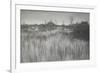 A Rushy Shore, 1886 (Platinum Print)-Peter Henry Emerson-Framed Giclee Print