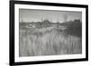 A Rushy Shore, 1886 (Platinum Print)-Peter Henry Emerson-Framed Giclee Print