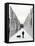 A Russian Girl Walks Her Dog-null-Framed Stretched Canvas