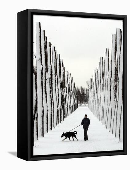 A Russian Girl Walks Her Dog-null-Framed Stretched Canvas