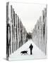A Russian Girl Walks Her Dog-null-Stretched Canvas