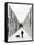 A Russian Girl Walks Her Dog-null-Framed Stretched Canvas