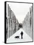 A Russian Girl Walks Her Dog-null-Framed Stretched Canvas