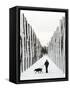A Russian Girl Walks Her Dog-null-Framed Stretched Canvas