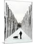 A Russian Girl Walks Her Dog-null-Mounted Photographic Print
